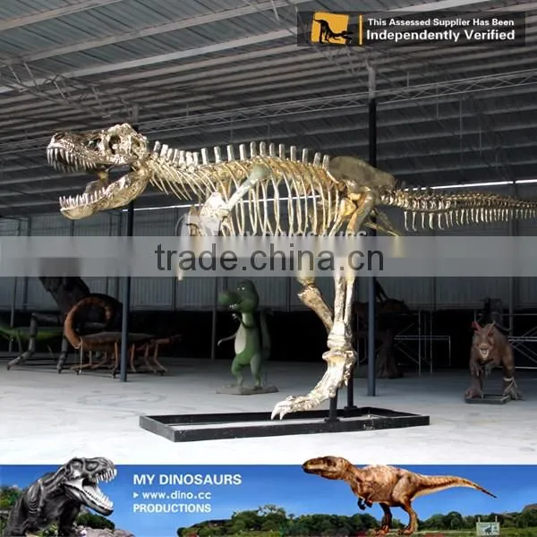 MY Dino-A12 Dinosaur museum exhibition dinosaur fossil