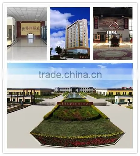 wood grain transfer printing material