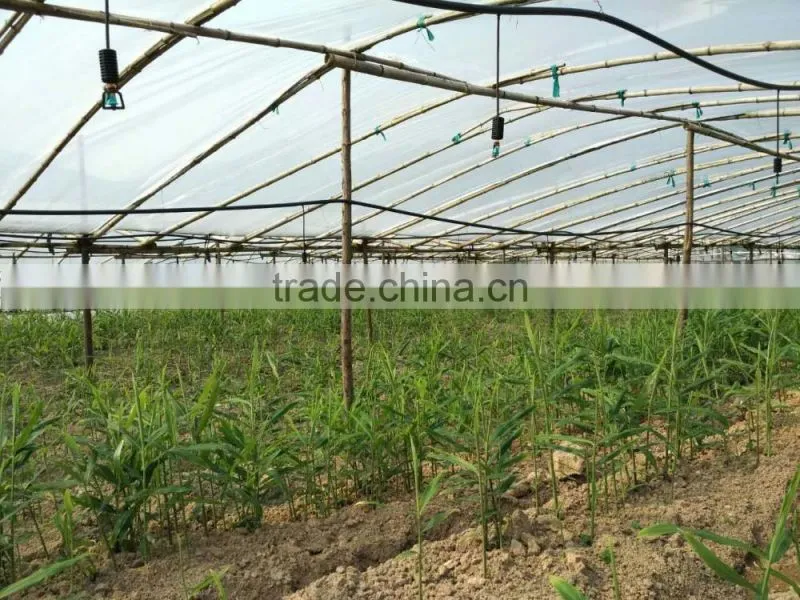 drip irrigation and sprinkler irrigation mini sprinkler