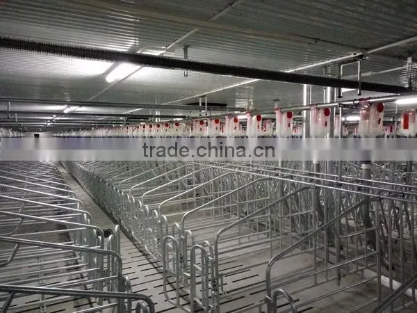 Sales promotion pork gestation crates gestation cages