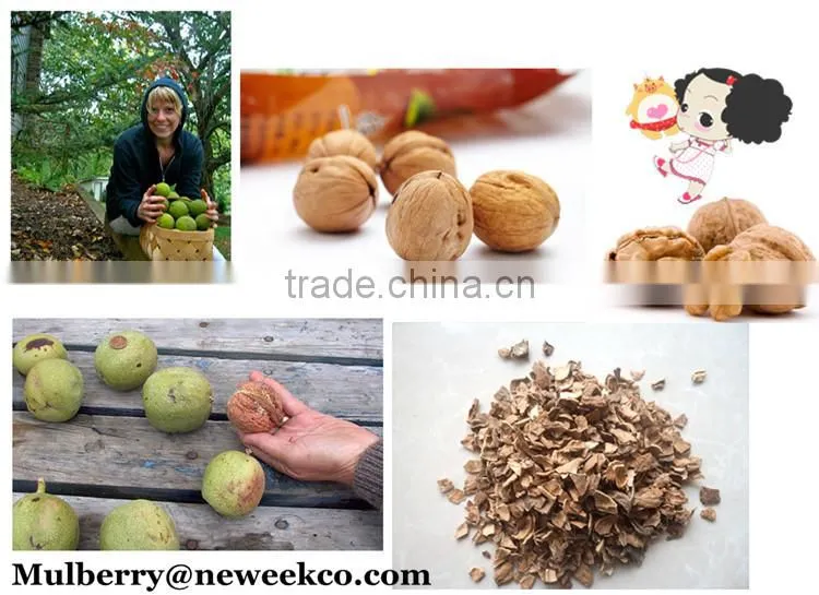Neweek 300-500kg/h small husker walnut hard shelling machine