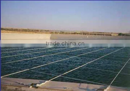 PET monofilament wire polyester wire