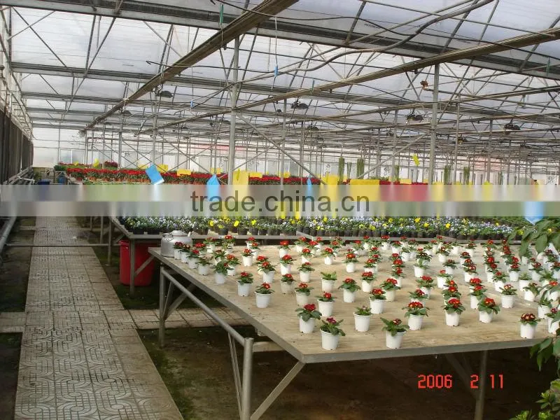 Venlo Roof Agricultural Glass Greenhouse