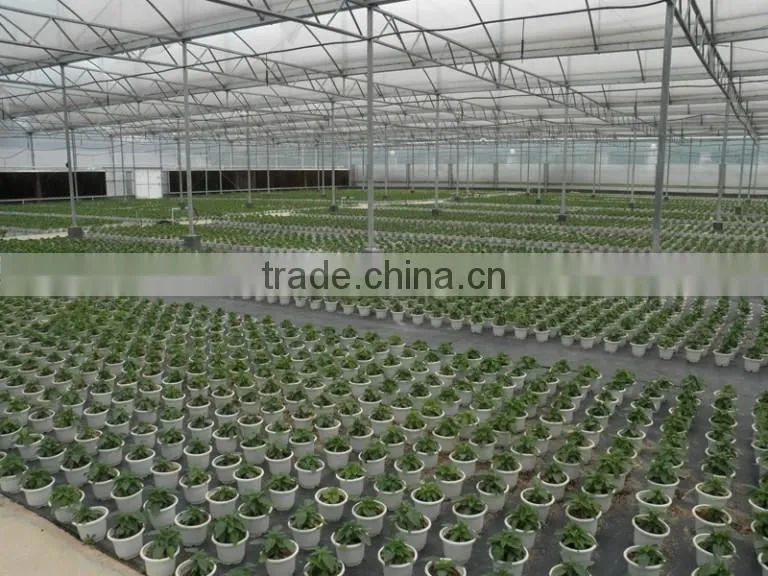 agriculture greenhouse with good quanlity