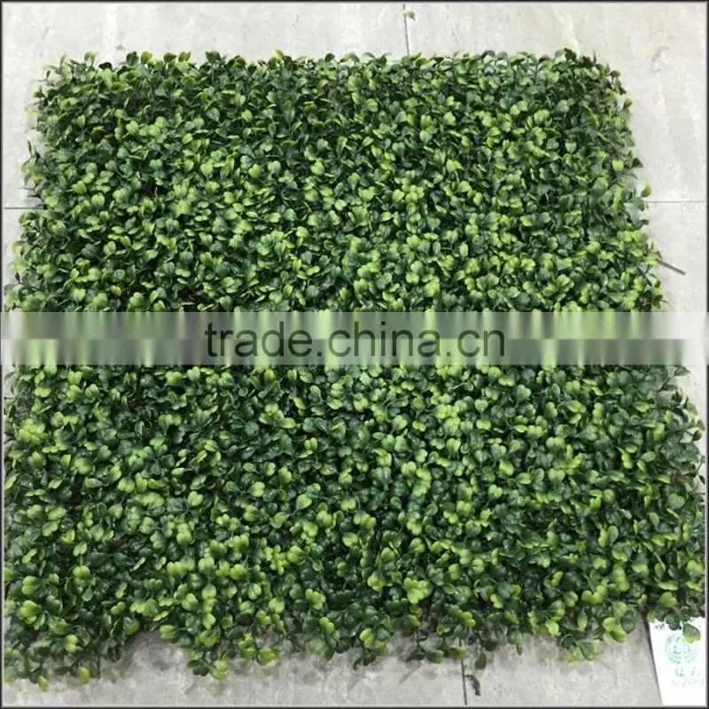 New plastic Milan boxwood panel