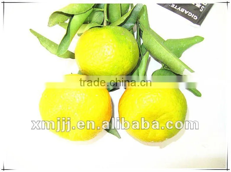 citrus fruits Orange Export Company
