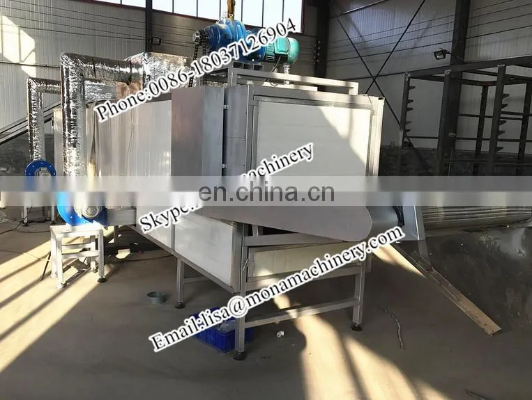 Prunes Multiple layer continuous type mesh belt dryer