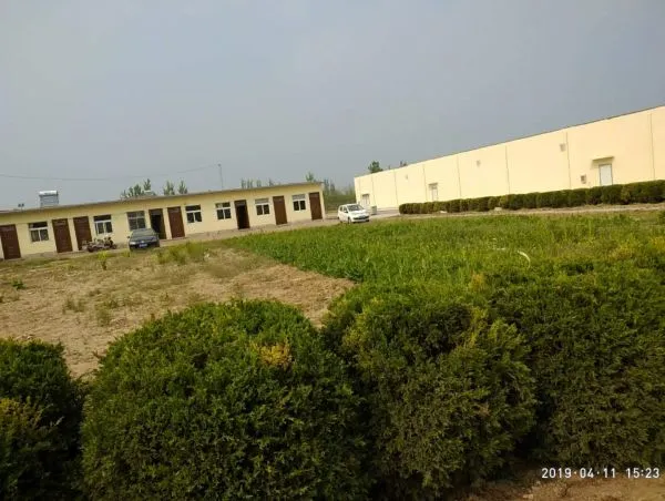 Heze Wit Food Co.,ltd company overview - view 4