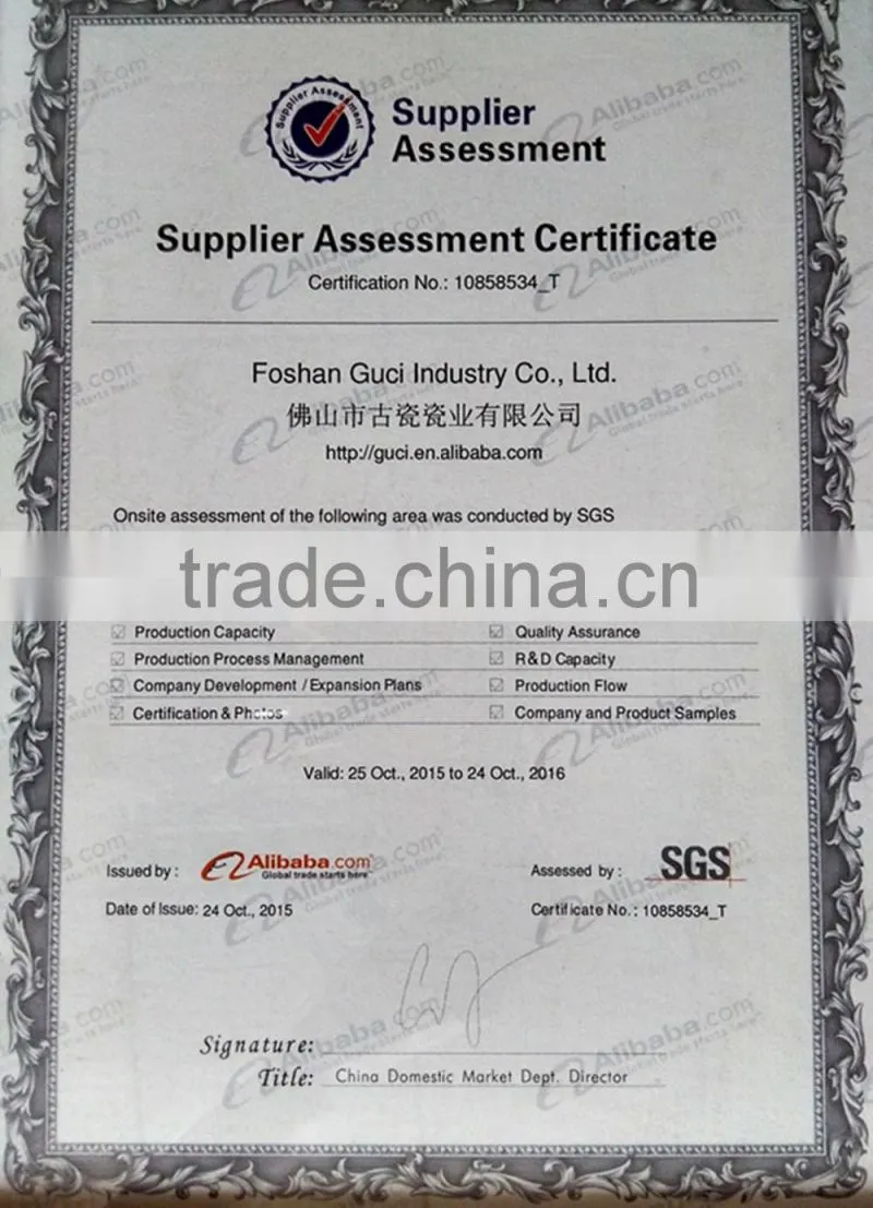 Tile porcelain made in China