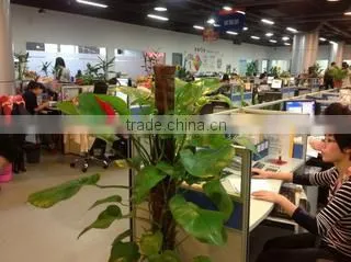 Jiangshan Rik Import & Export Co., Ltd. company overview - view 1