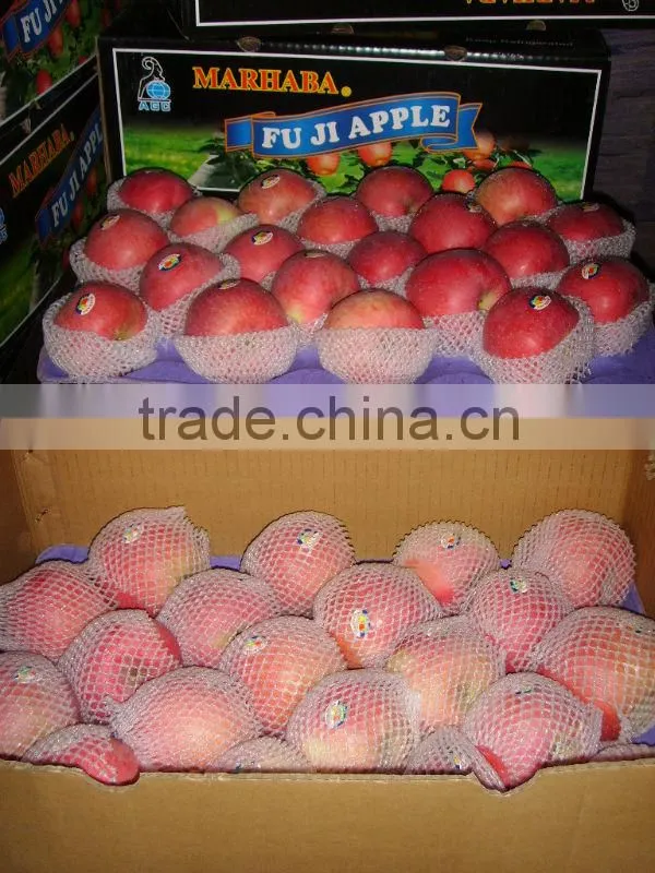 New season fresh qinguan apple