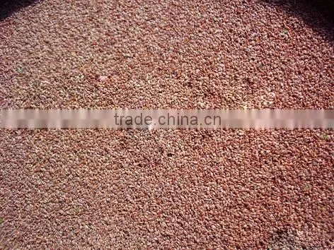 2016 New High Quality Grass Seeds Bermuda Grass Seeds For Sale