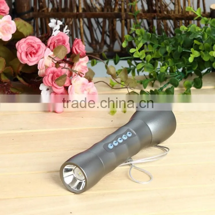 fm radio mini digital speaker portable mini usb radio speaker