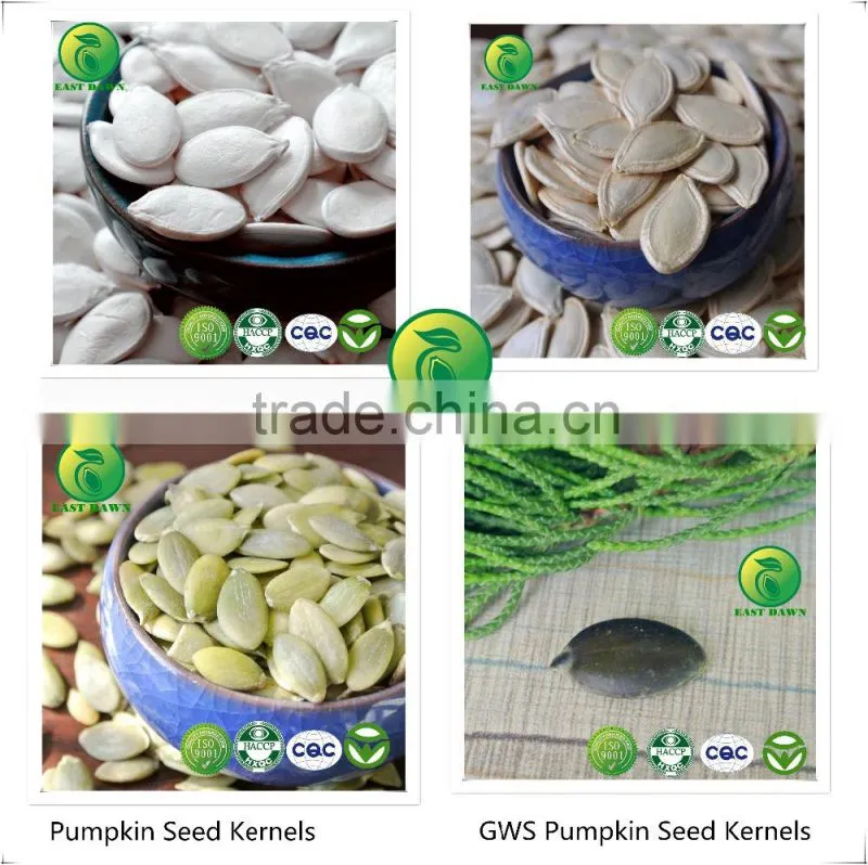 2015 New Crop Chinese Sunflower Seeds for High Quality