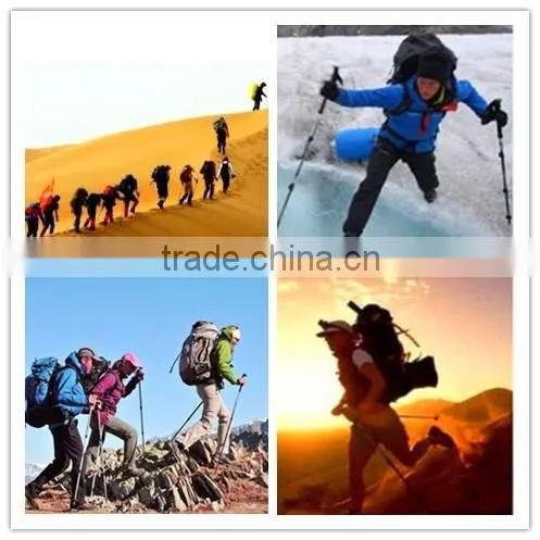 trekking pole