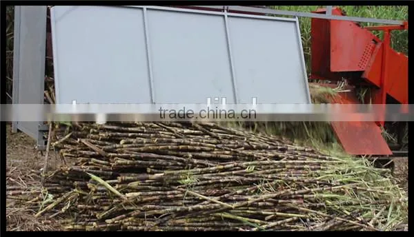 New condition brand product 6BCT-5 sugarcane leaf machine sugarcane peeling machine