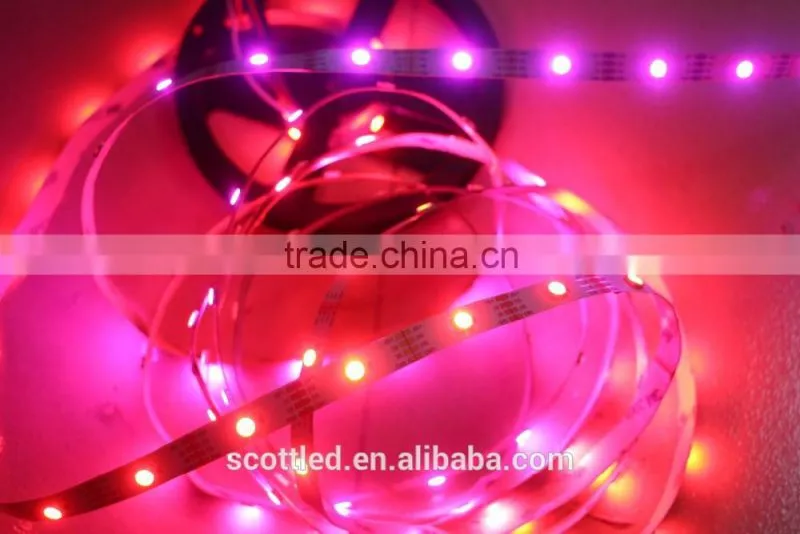 DC5V 60leds led rgb strip IC ws2813 non-waterproof led strip light