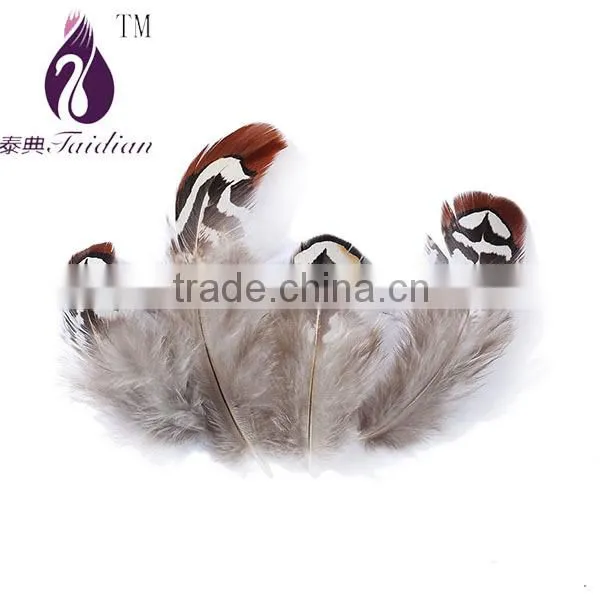 Natural color pheasant chicken feather for hat and party decoration,cheap feathers