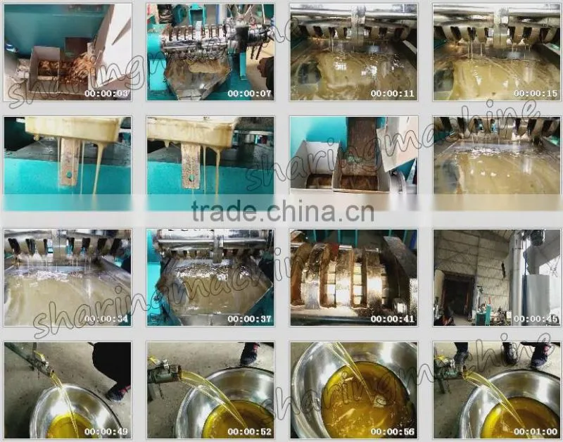 Factory price groundnut oil machine for big profit
