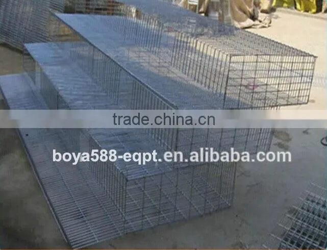 galvanized quail cage with automatic system
