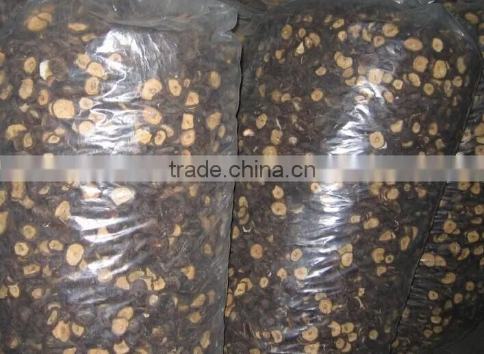 High quality 4~6 cm with 0.5~1 cm stem mushroom