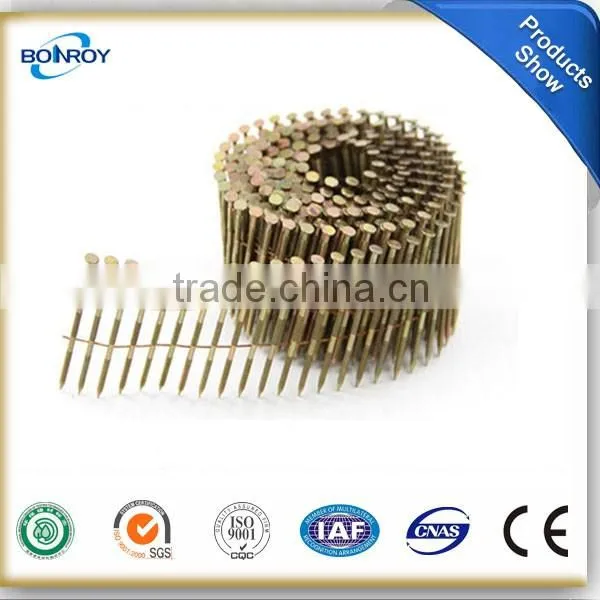 coil nail