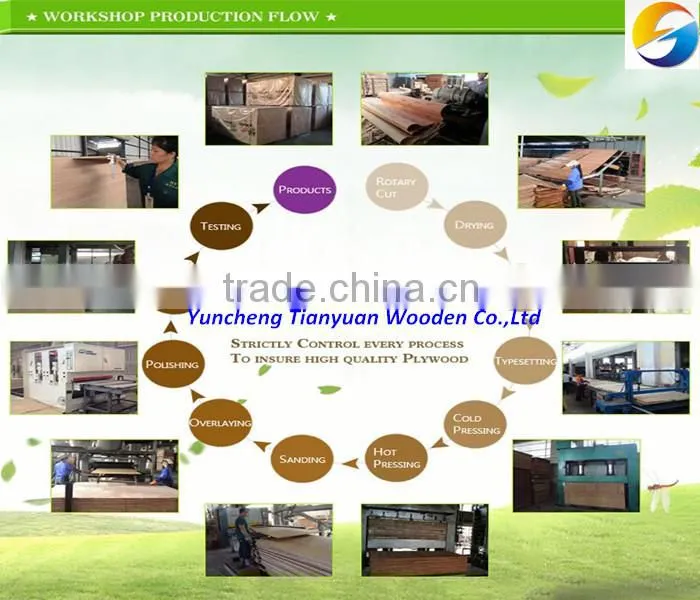 Pine core/Paulownia core/Malacca core 12mm blockboard