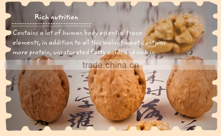 New crop dried fruit walnut
