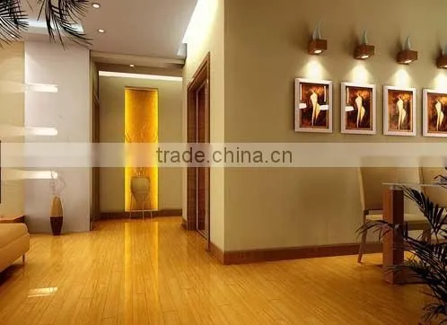 ws2801 led pixel strip smd5050 32 chips led per meter