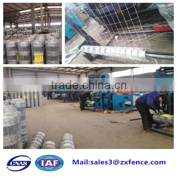 Low price grassland fence,deer fence,cattle fence,sheep fence factory direct