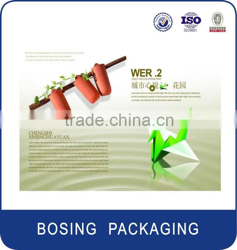Offset printer brochure printing