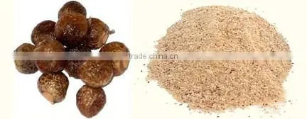 AYURVEDIC MEDICINE : SAPINDUS MUKOROSSI