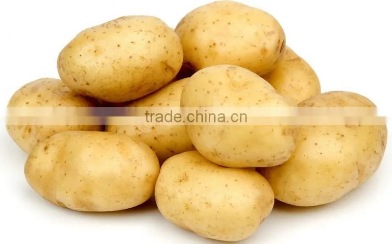 automatic fruit and vegetable brush peeler
