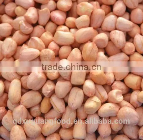bold blanched peanut kernel 70/80
