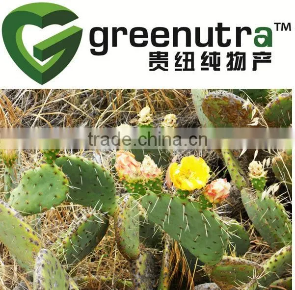 GMP manufacturer supply Cactus Extract