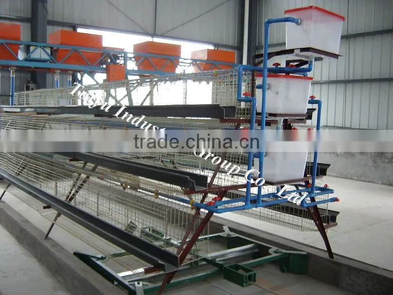 high quality egg layer cage