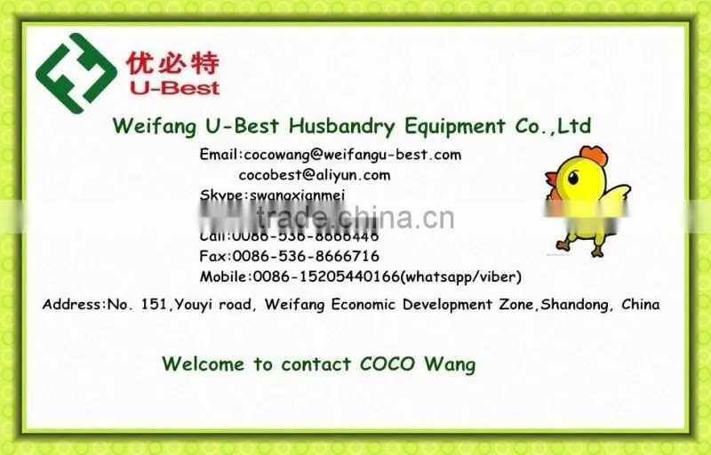 UAE Chicken Farm Poultry Equipment for Sale