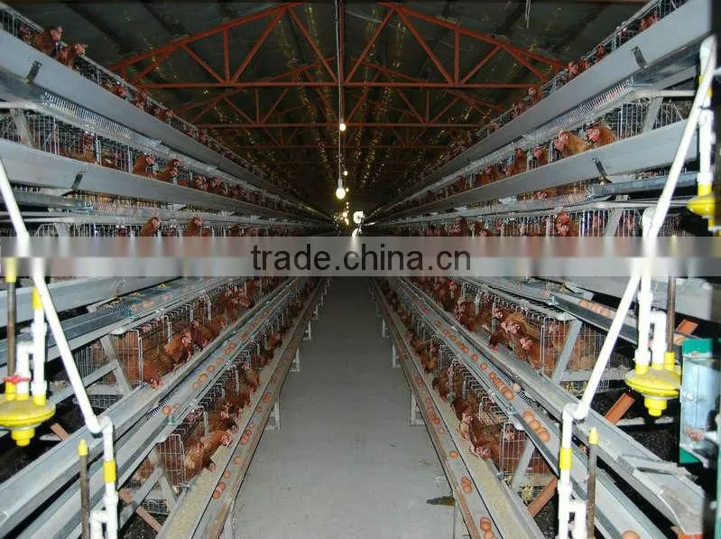 Hot-sale Good Quality Poultry Farm Layer Chicken Cage