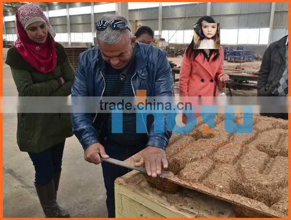 TY-1200 high pressure wood pallet making machine /wood pallet machine in alibaba SMS:0086-15238398301