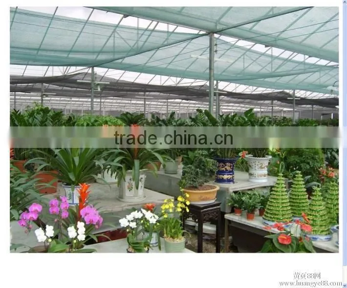Greenhouse equipment Hot Water and hot air coal fired heater