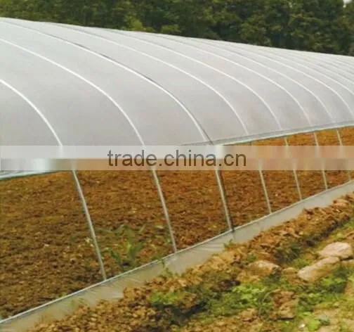 Hot sale single-span plastic greenhouse for agriculture