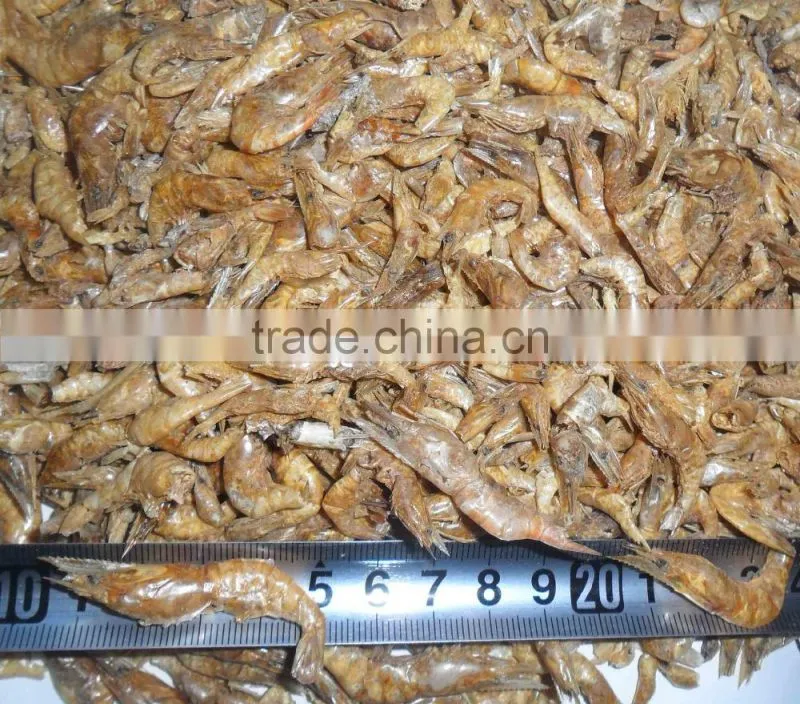 Shrimp exporters high nutrition air dried shrimp fish feed