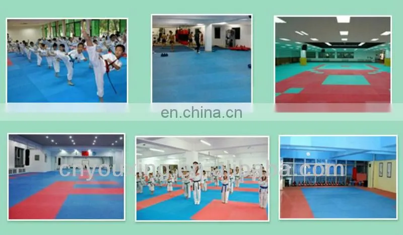 Wholesale martial arts mats korea taekwondo mat