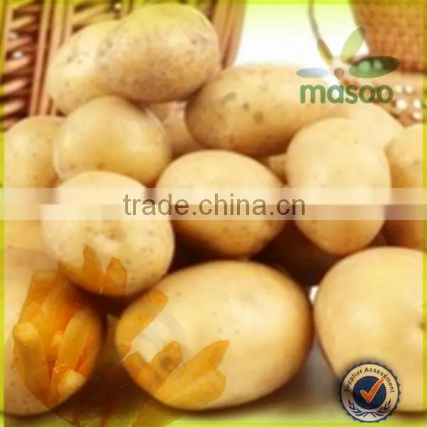 holland potato certified fresh sweet potato 150-200g exporter