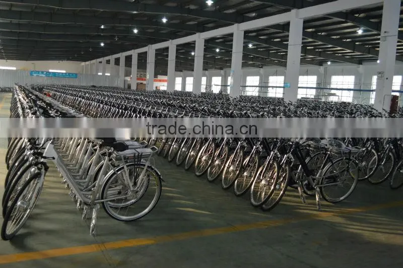 Electric City Bike for Lady exported to Australia/Germany/Holland