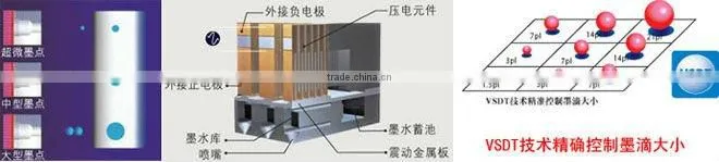 High speed 1.6M solvent printer price