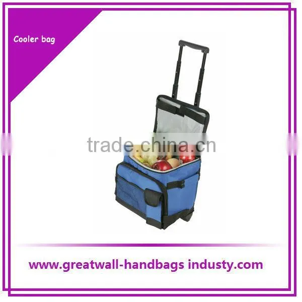 fahsion insulated cooler bag picnic cooler bag