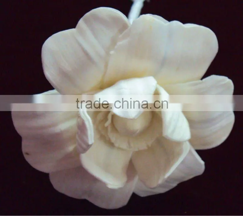 Sola wood flower