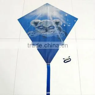 weifang kite