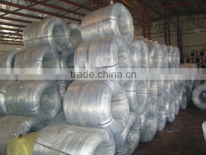 Bwg20 Galvanized Iron Wire /Galvanized Wire